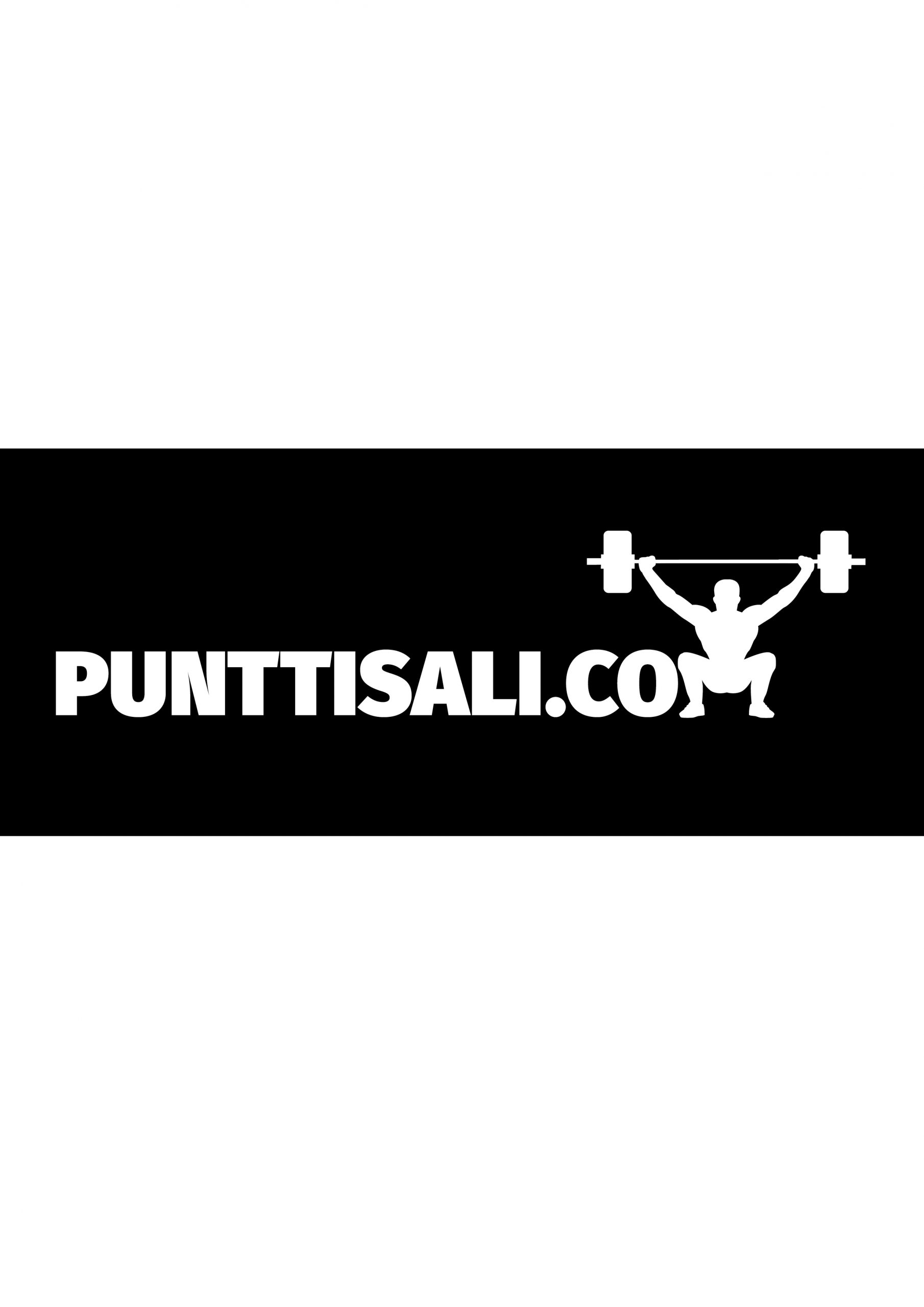 punttisali.com